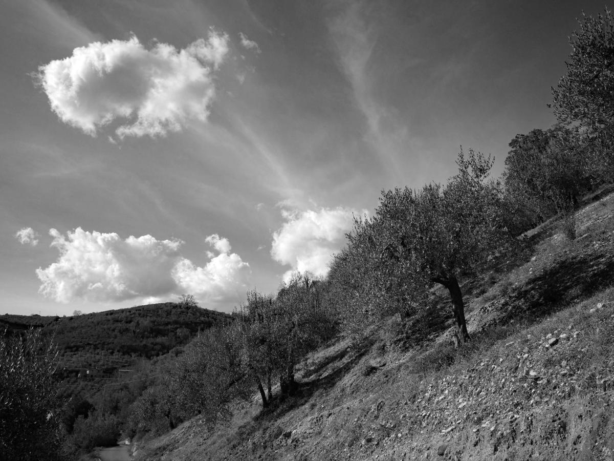 Agriturismo Il Casaletto Montefranco Exterior foto