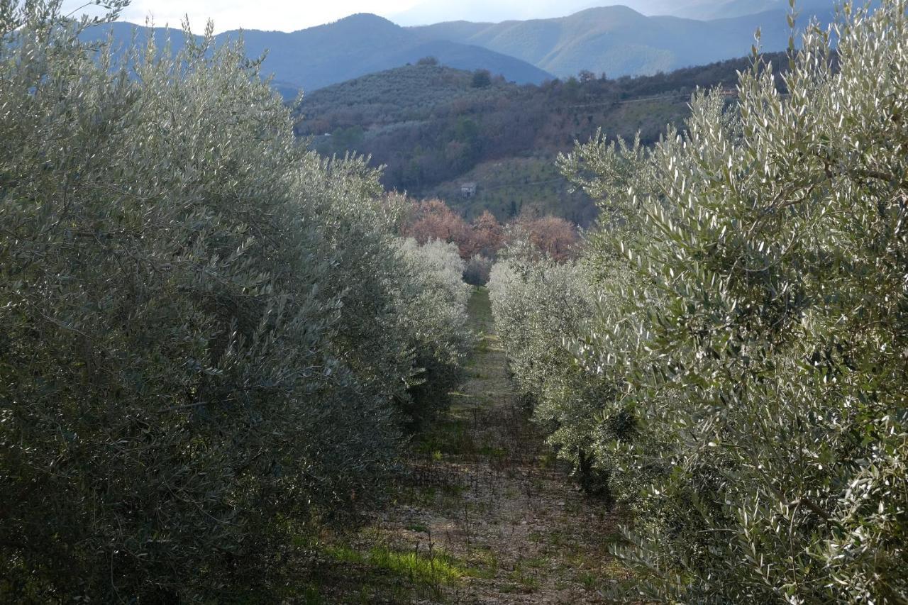 Agriturismo Il Casaletto Montefranco Exterior foto